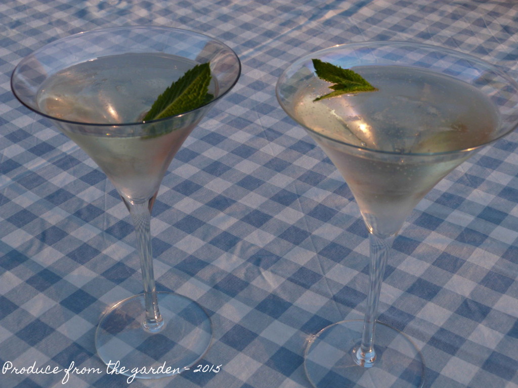 Elderflower, Gin & Prosecco cocktail