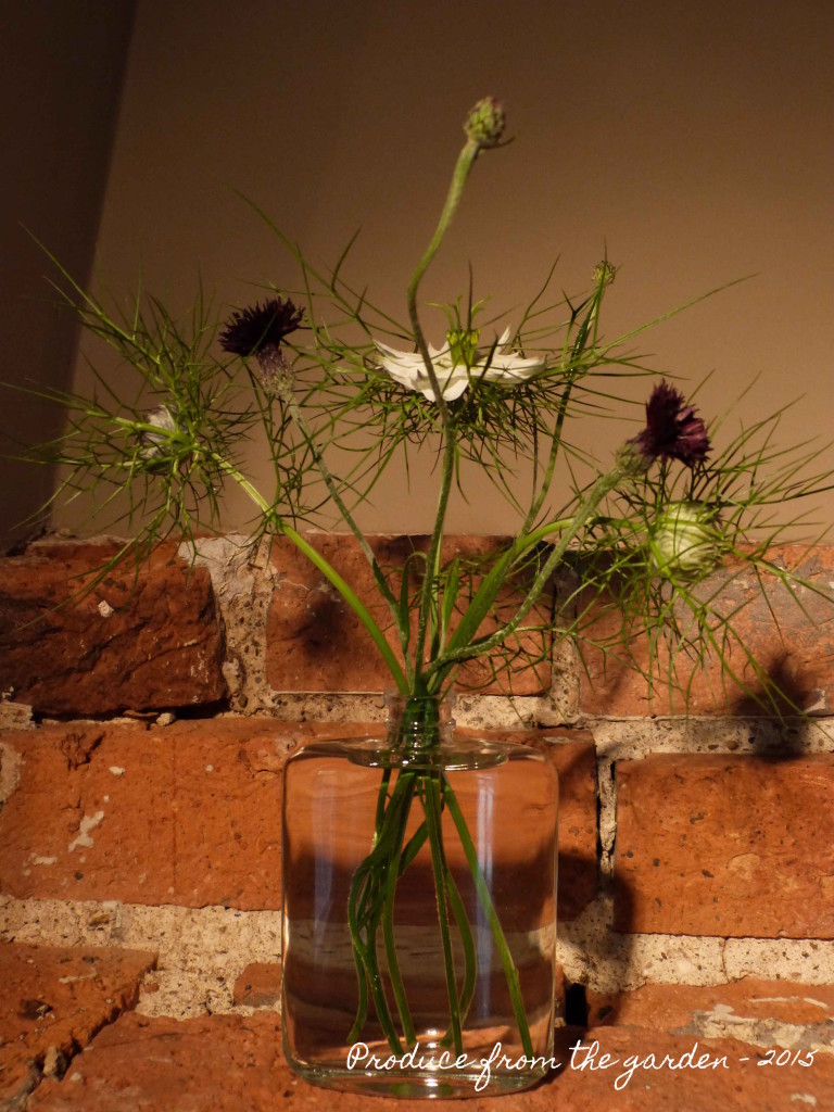 Nigella and cornflowers in a vase