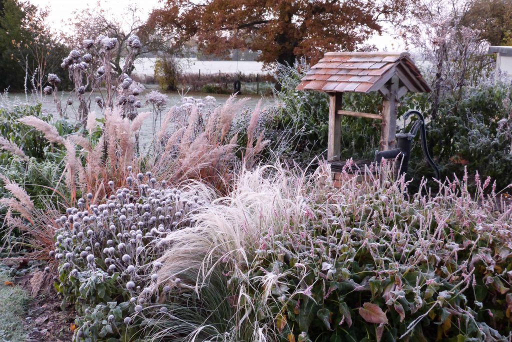November frost